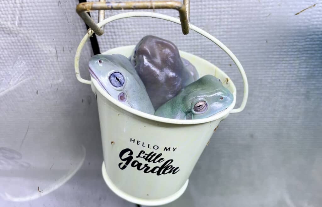 気持ちよさそう