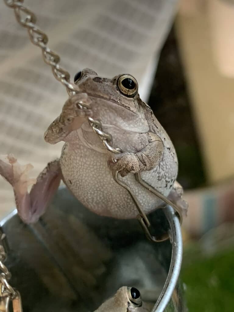 指でぽよぽよしたい
