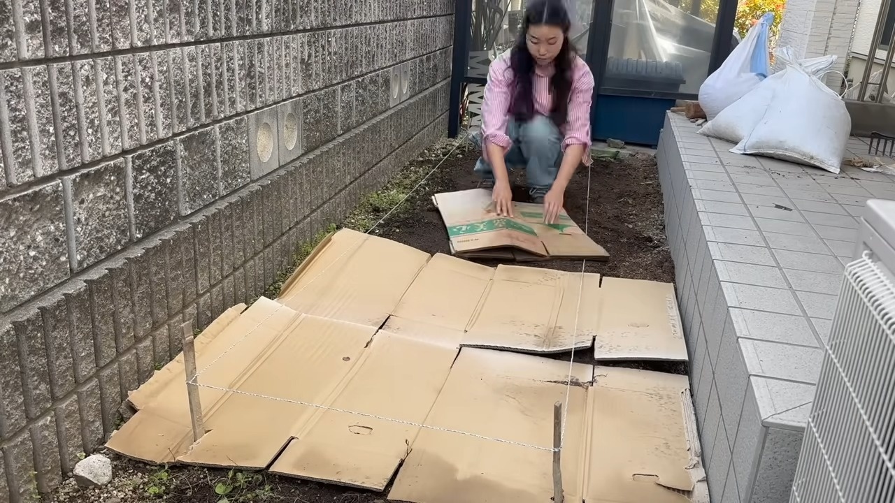実家の庭に“ダンボール”をびっしり敷く女性→その後、完成したのは……　目からウロコな光景に「良い方法」「感心します！」（1/3） | ライフスタイル ねとらぼ