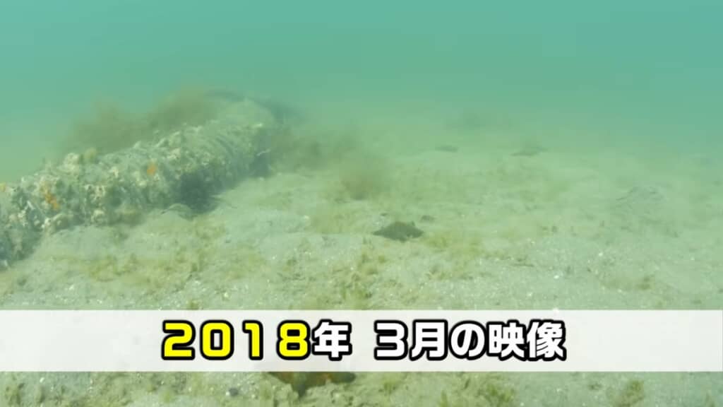 8年前はヒトデがたくさんいました