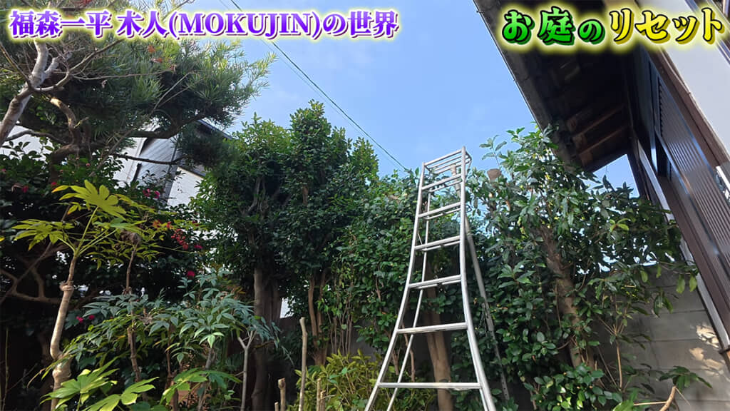 お庭が明るくなりました!