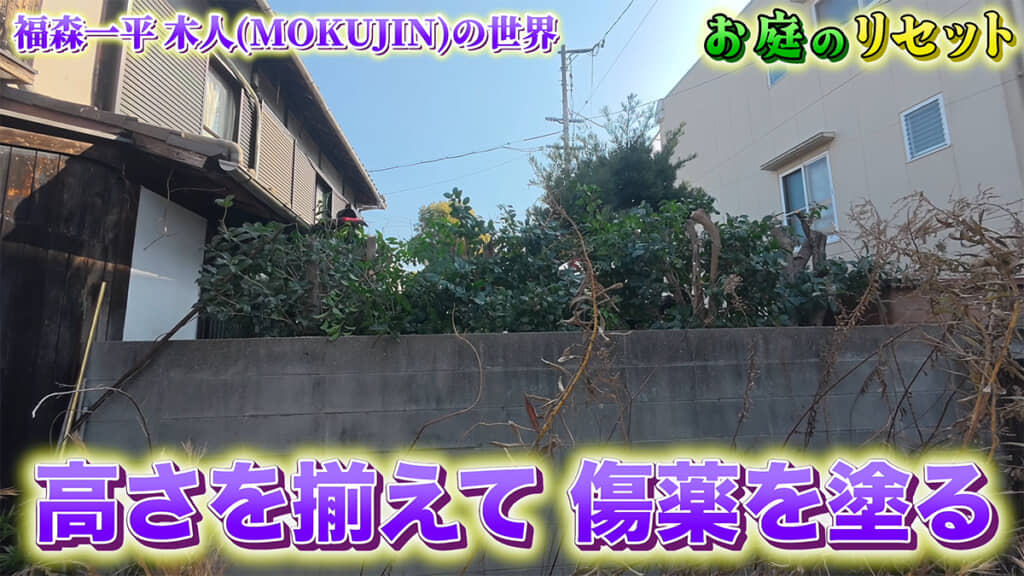生け垣も整えたら
