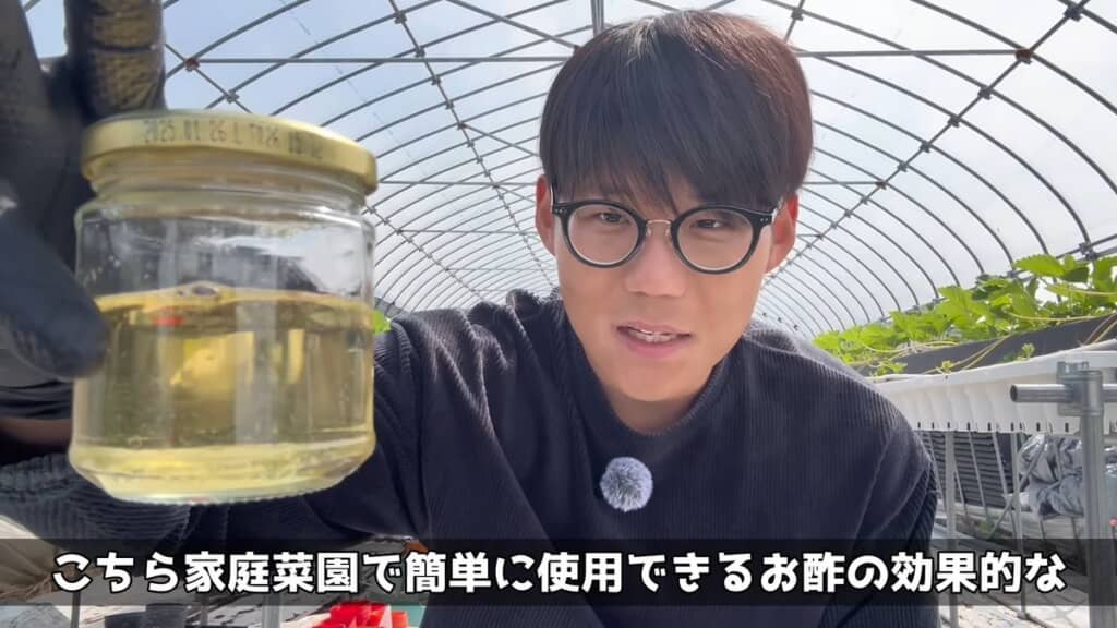 家庭菜園におけるお酢の活用法を紹介
