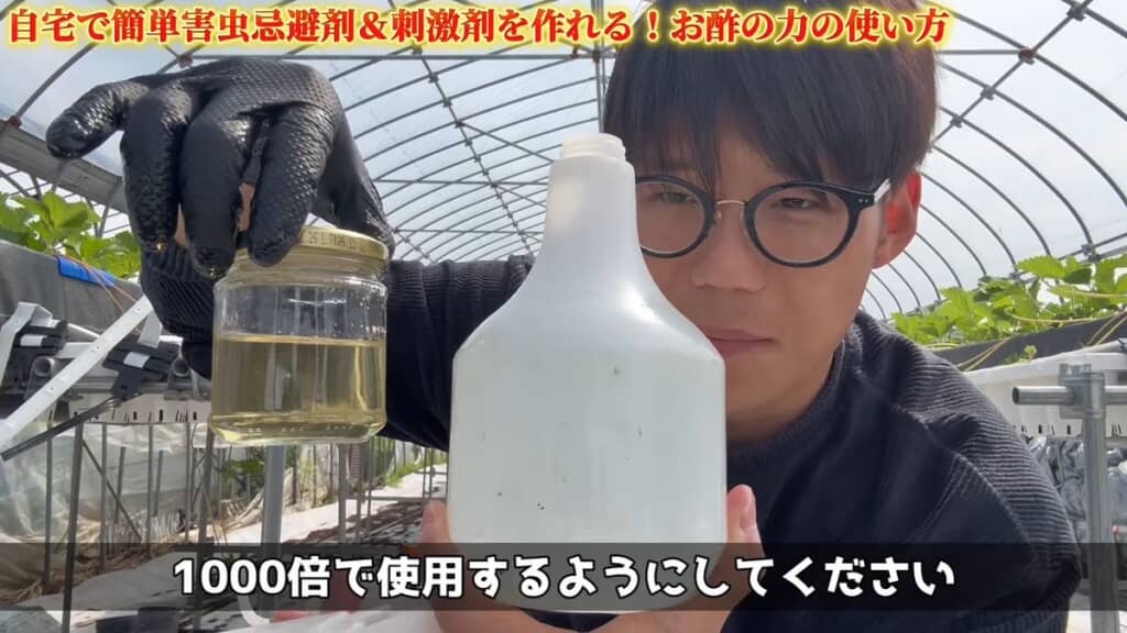 1000倍に希釈したお酢とスプレーのボトル