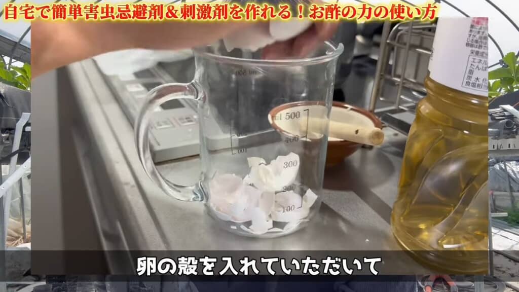 卵の殻を入れた容器