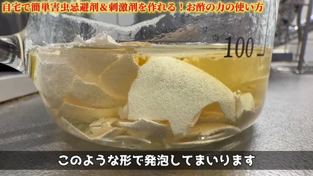 お酢の中で発泡し始めた卵の殻