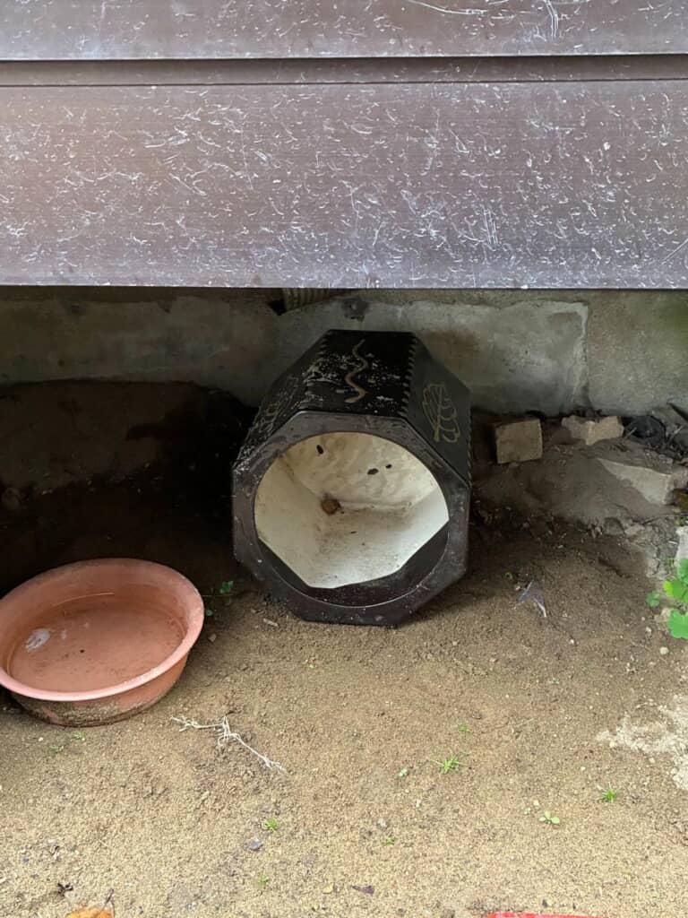 翌日、傘立ての中は空っぽに