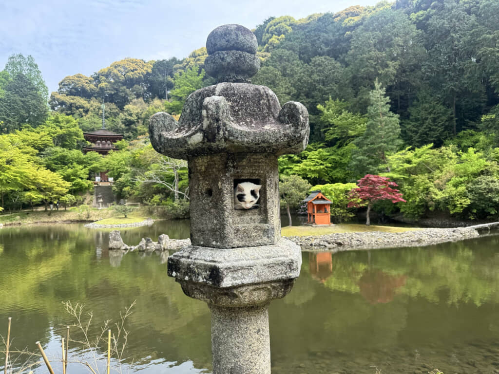 撮影開始直後の様子