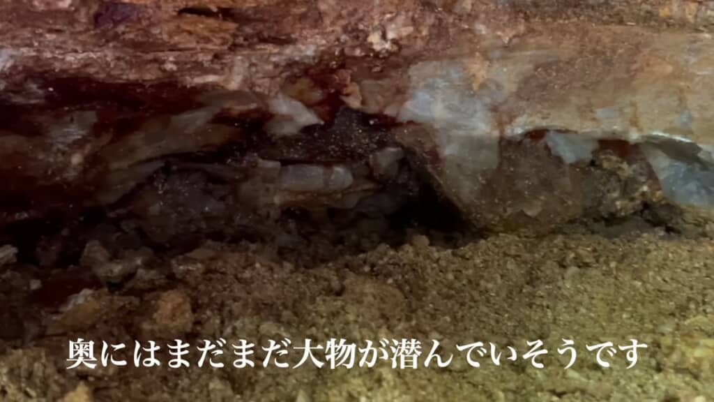 奥の方に水晶の頭部分が見えるガマ
