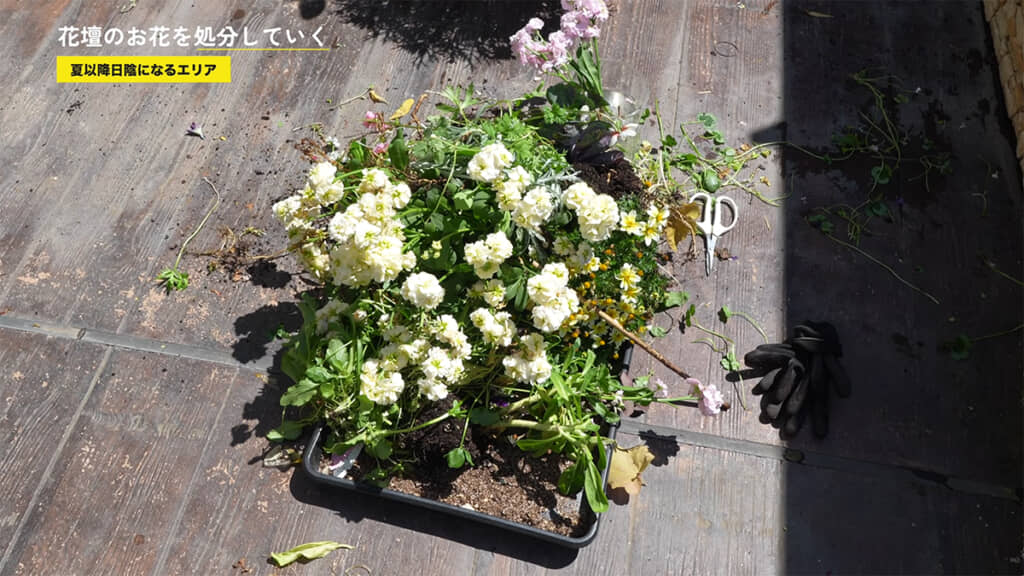 抜いた花たち、すごい量です