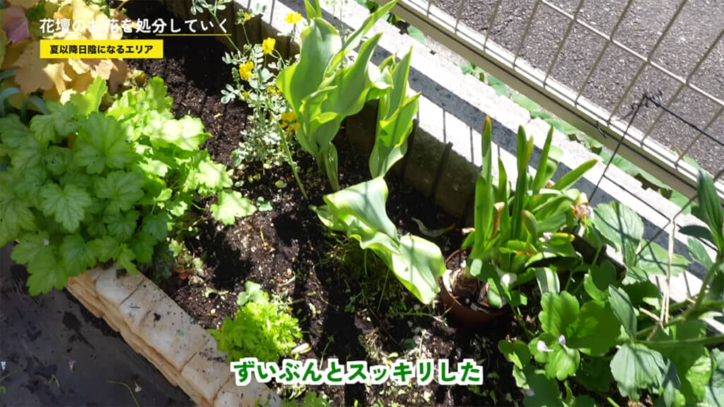 かなりスッキリしました!