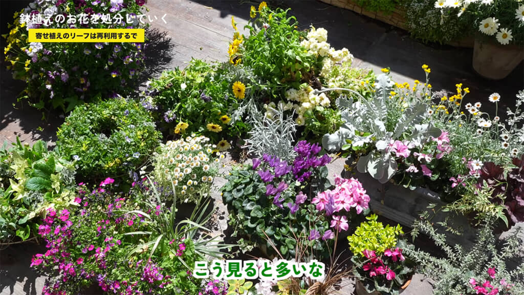 植木鉢を集めたらとんでもない数に
