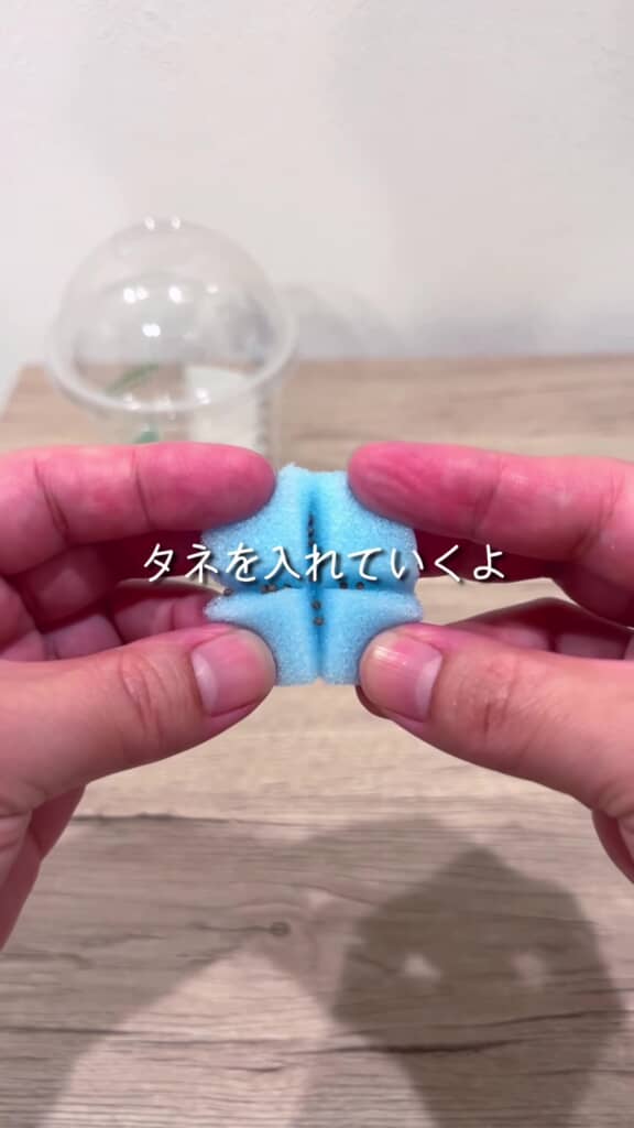 スポンジに切り込みを入れたところ