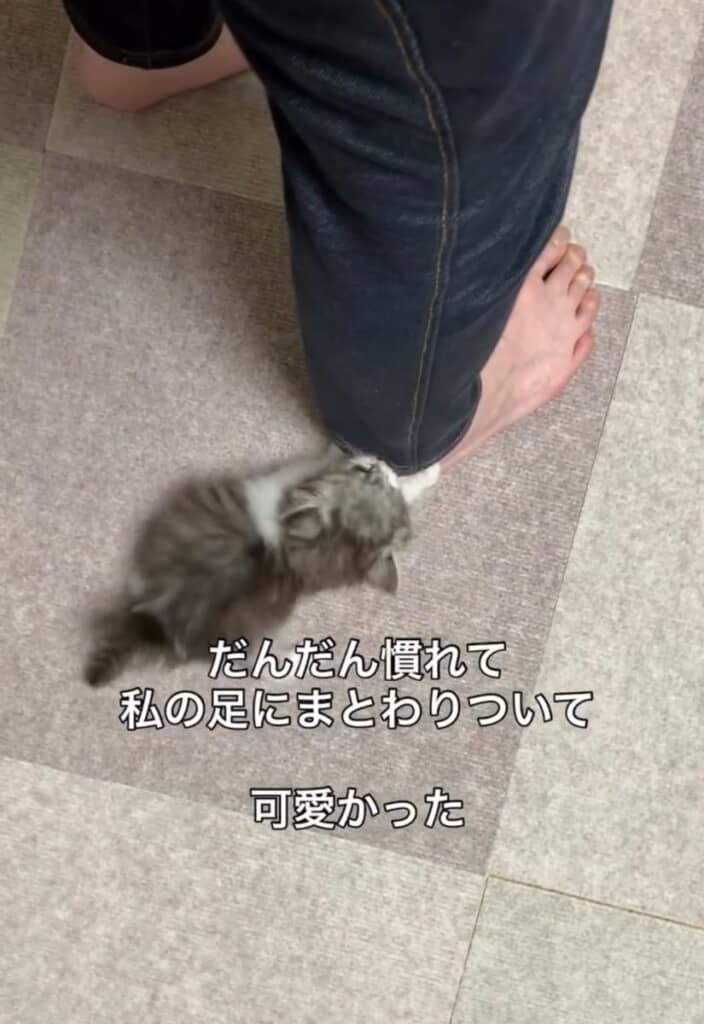 徐々に人に慣れてきた様子