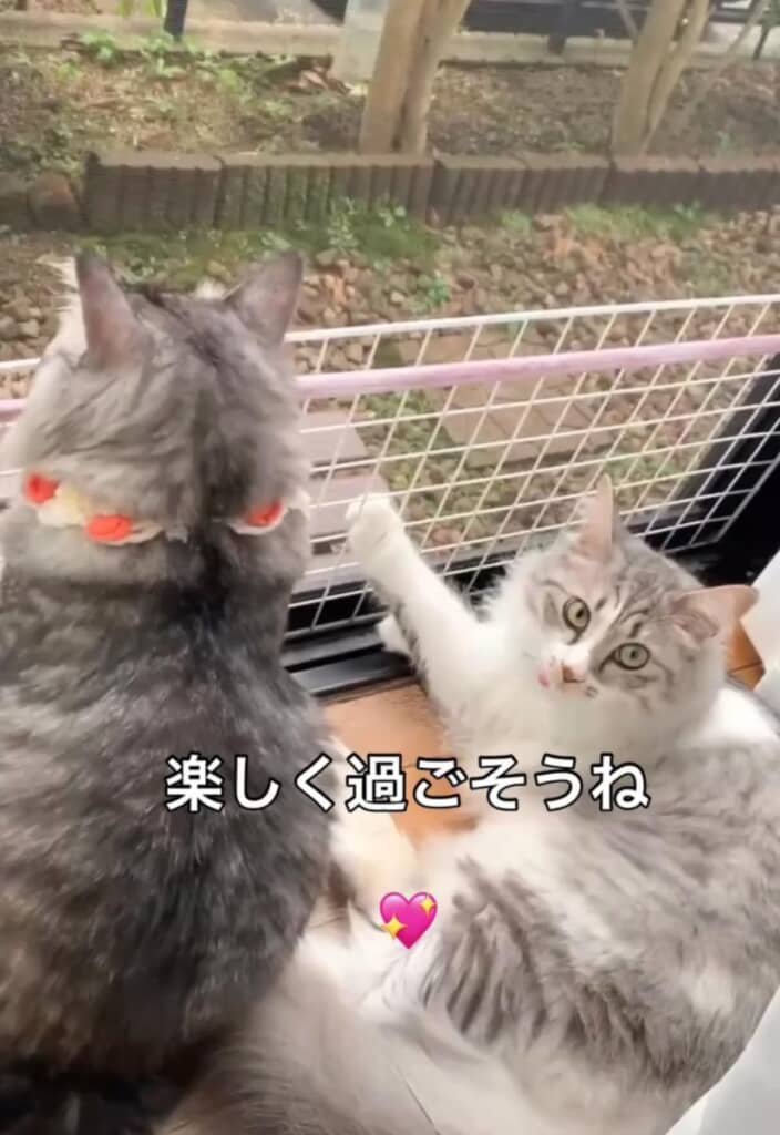 これからも幸せな毎日を送ってね！