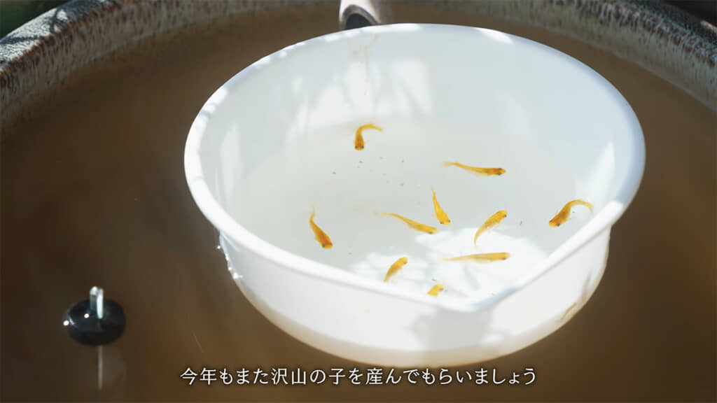 掃除後は水合わせ