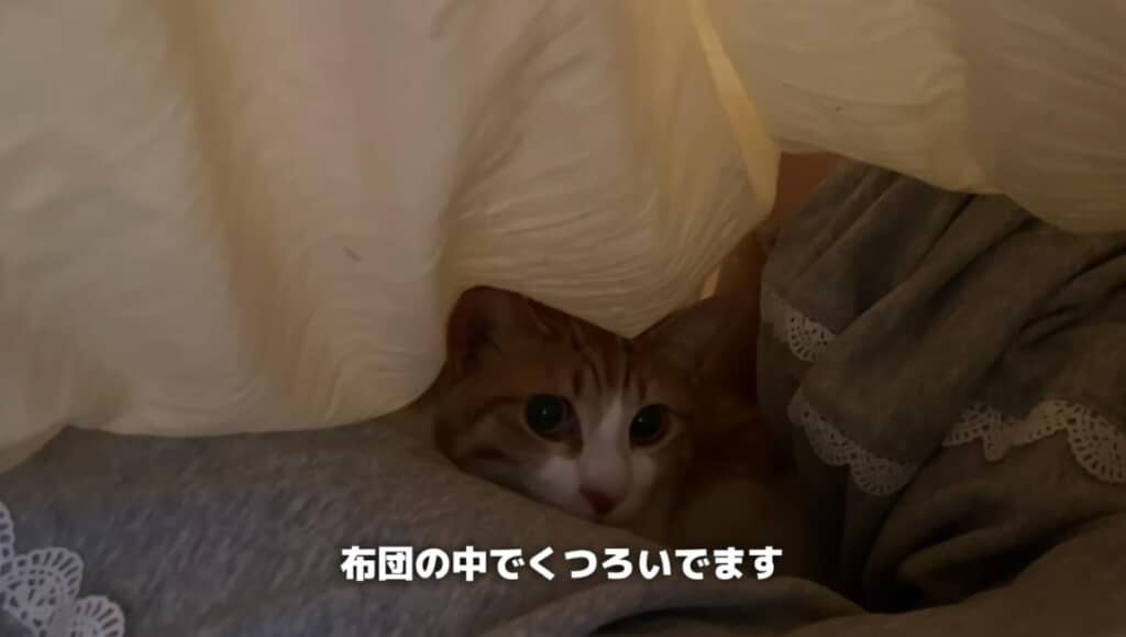 彼女さんのことを自分の彼女だと思っている、はっさくくん