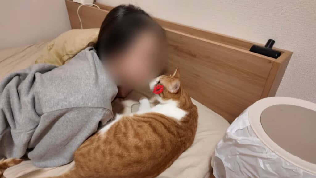 彼女さんに夢中なはっさくくん