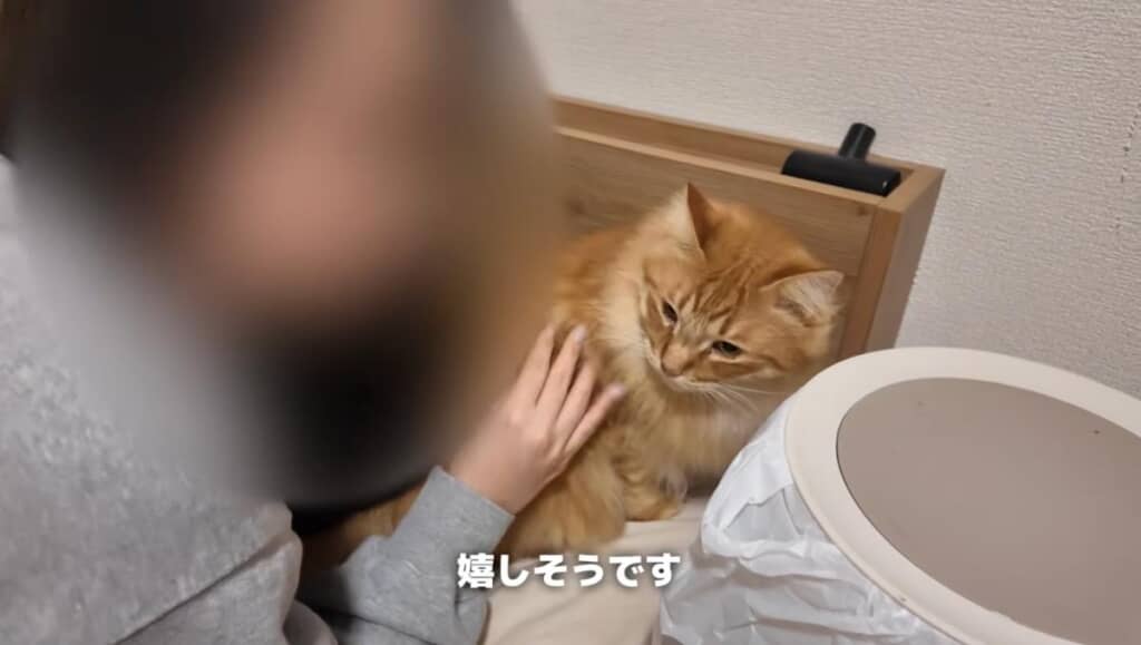 タイミングを伺っていたおいなりくん