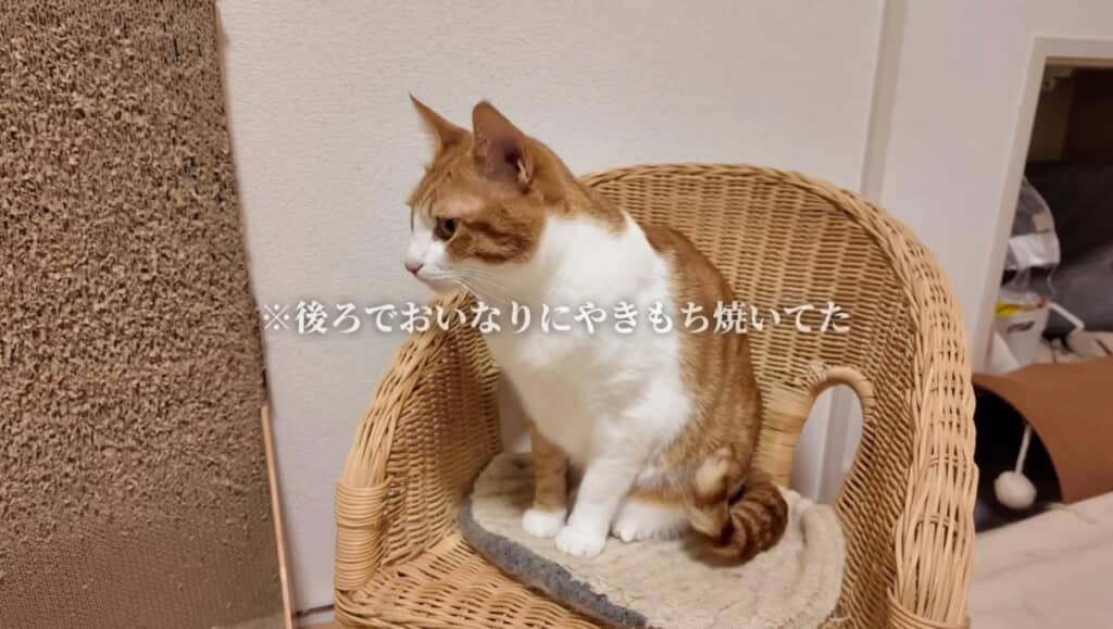 恋のライバルに嫉妬をするはっさくくんなのでした