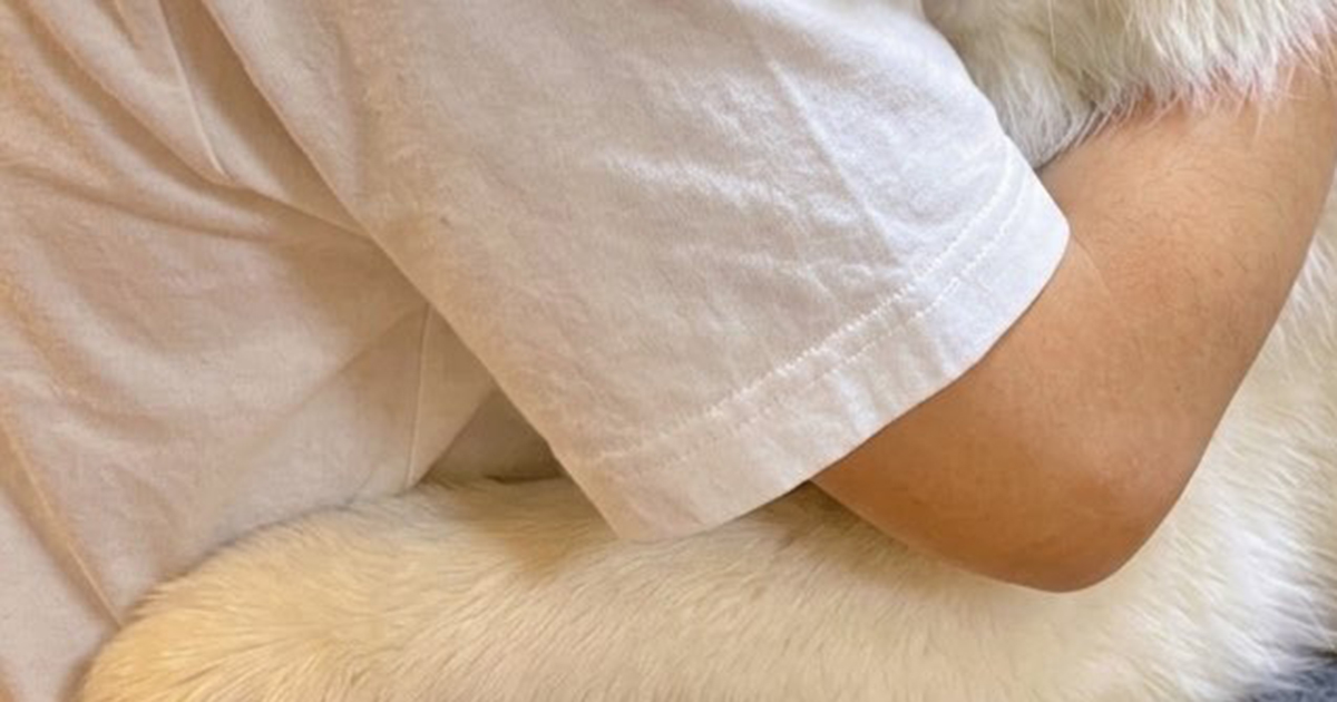 「お兄ちゃんが修学旅行から帰ってきて今これ」→“白い塊”の正体は…… まさかの光景が900万表示「やばい」「泣いちゃう!」(1/2) | 犬 ねとらぼ