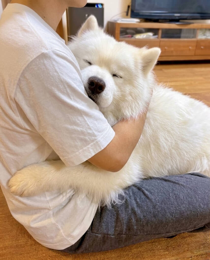 なんてあったかい光景だ……