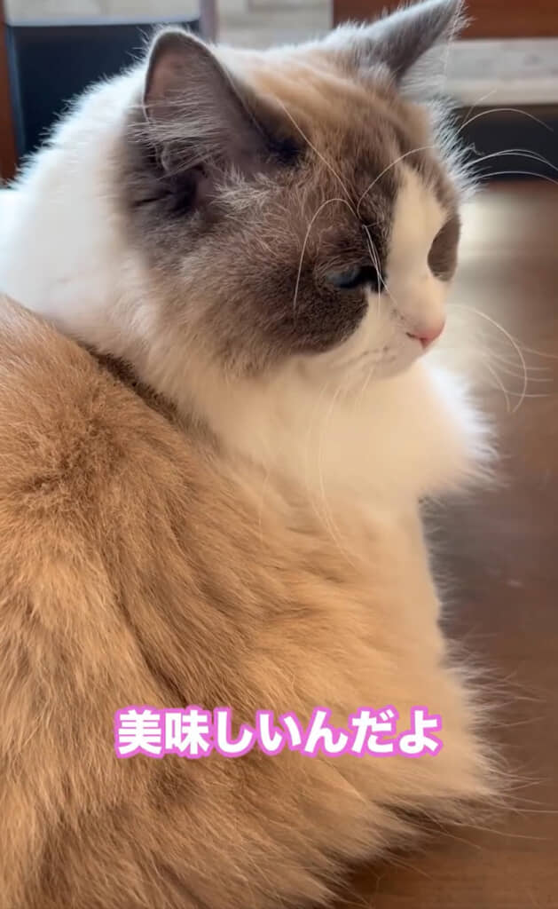 スン……