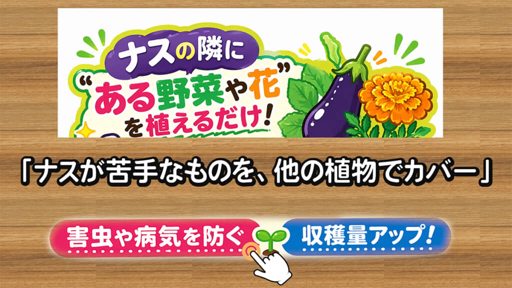 ナスが苦手なものをカバーしてくれる植物とは……?