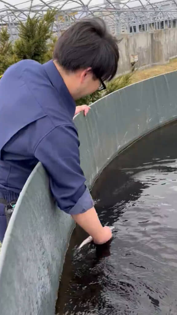 餌を持って水槽の中に入れると……