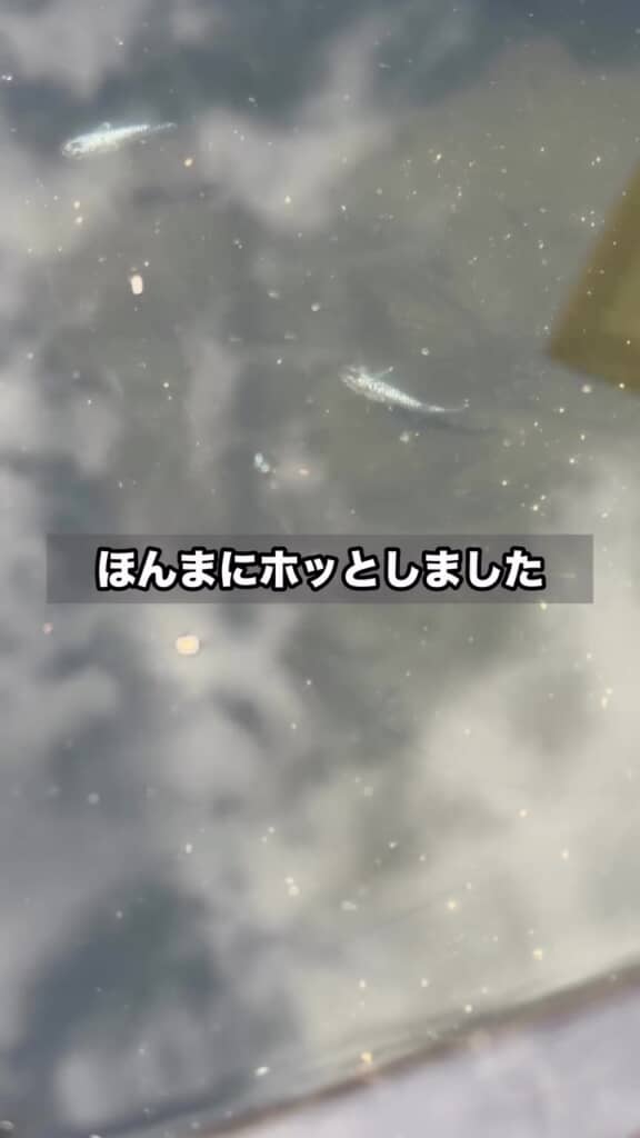 不安の種が1つ解消