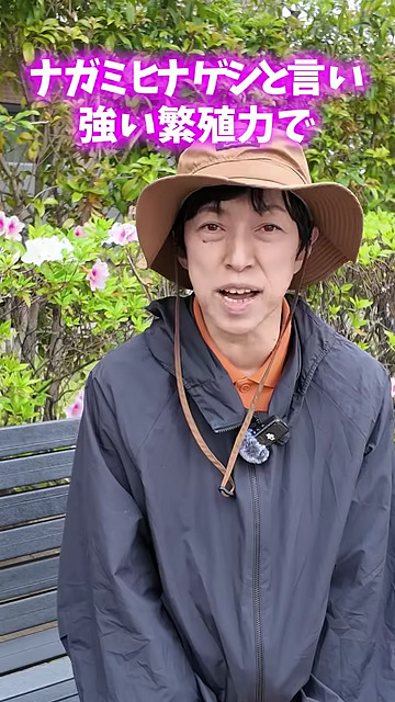 繁殖力の強い植物