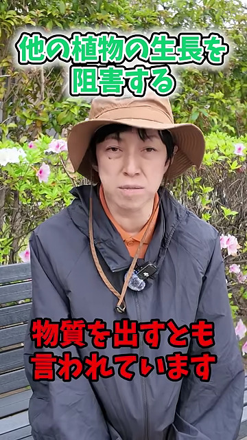 周りの植物にも影響が