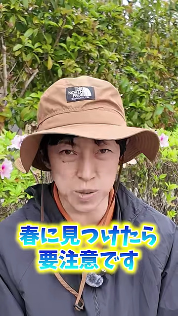 見つけたら除草を！