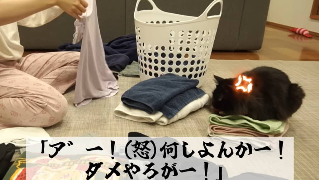怒鳴り声が聞こえて飛び起きた