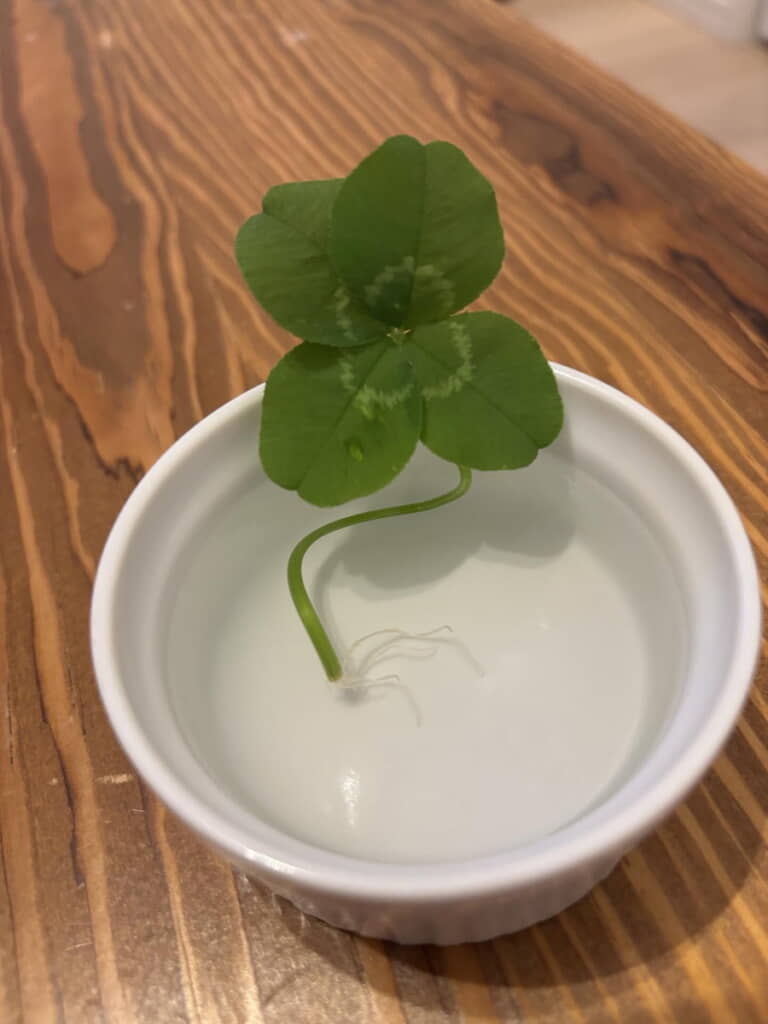 1カ月近くたっても元気そう