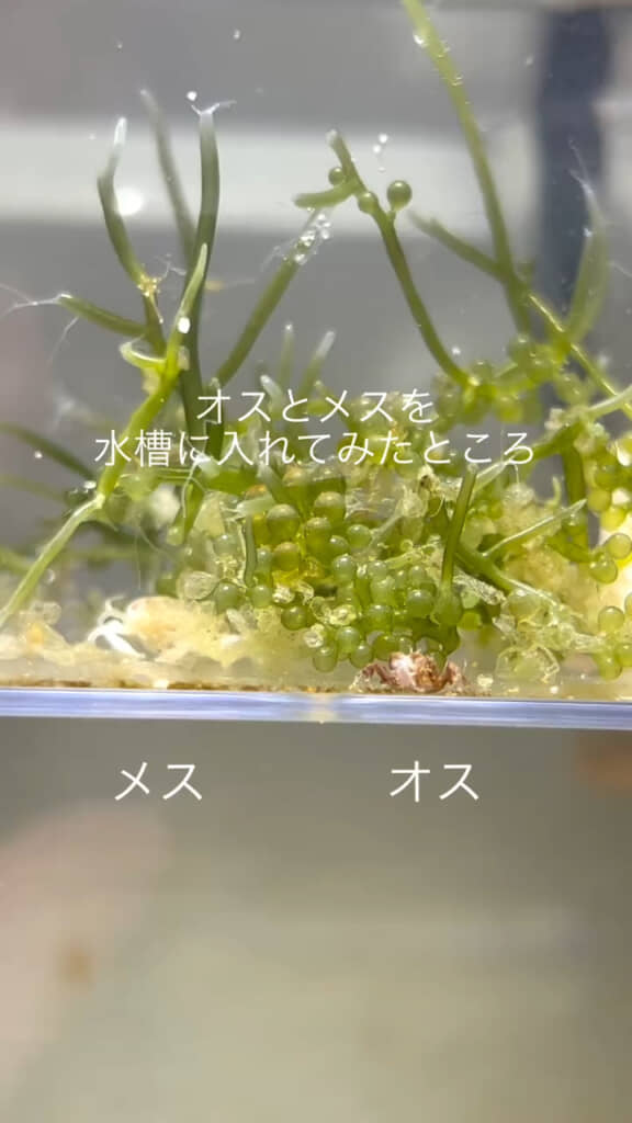 何が起こるかワクワクです