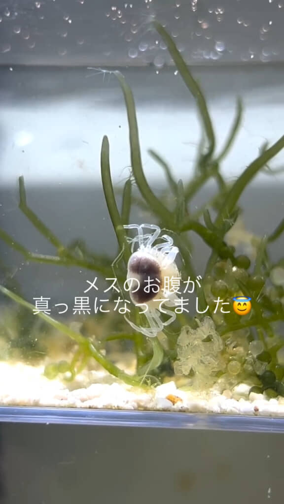 いつの間にか夫婦になっていました