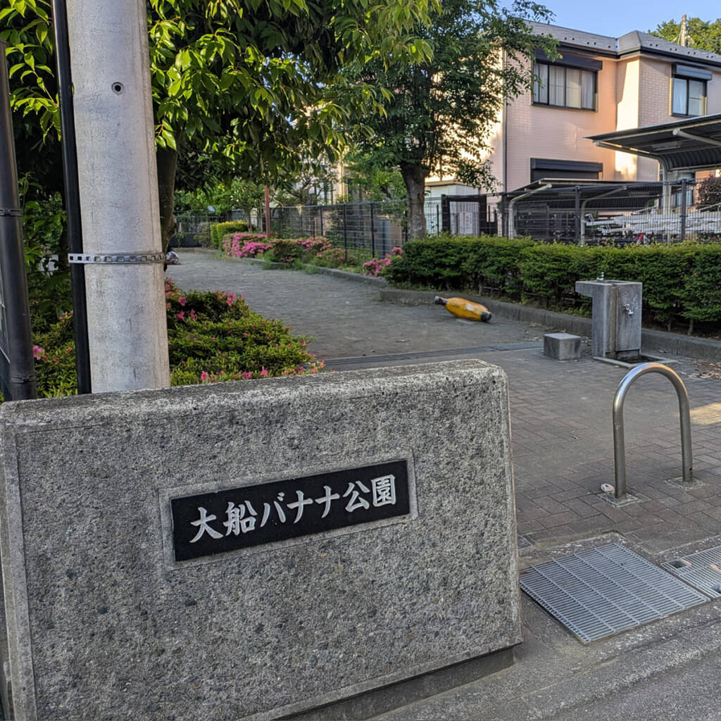 あそこに落ちているのは……