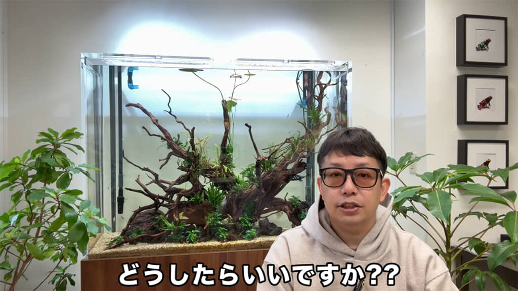 1人だけでなく、複数の方から寄せられた質問については