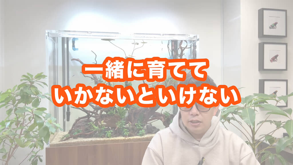 水槽ではバクテリアも育てる必要があります