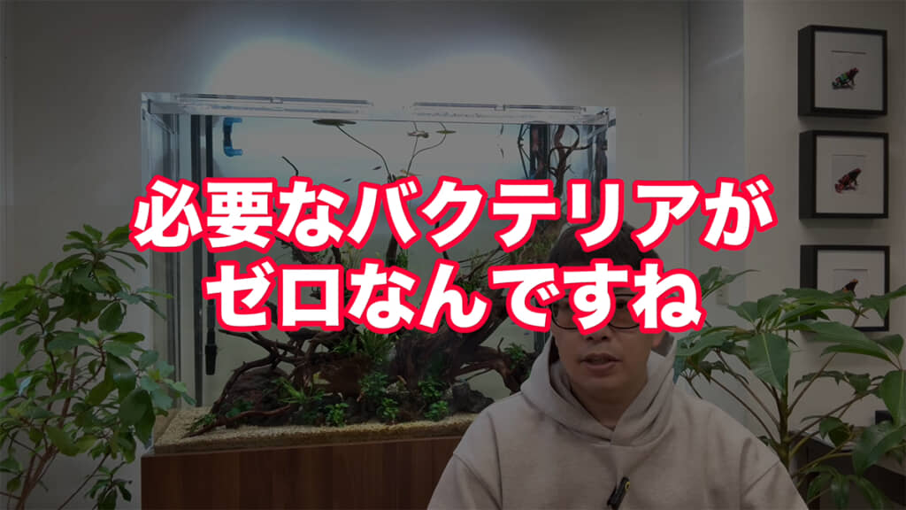 立ち上げた直後の水槽にはバクテリアがいません
