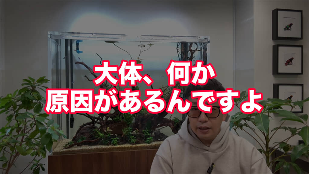 魚が弱ったり、死んでしまったりする背景には何かの原因があることも