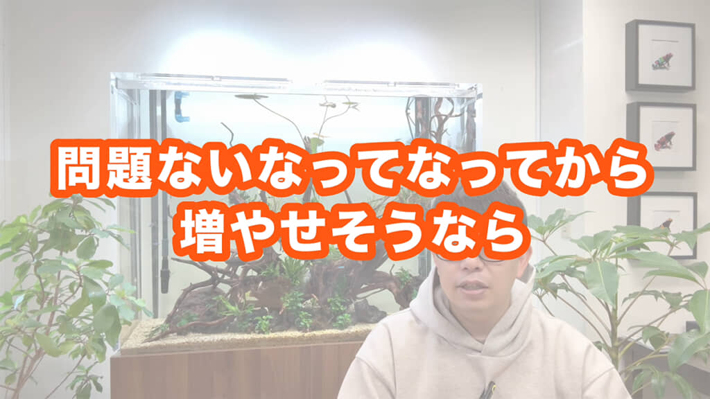 魚が減ったからといって、すぐに増やすのはNGです