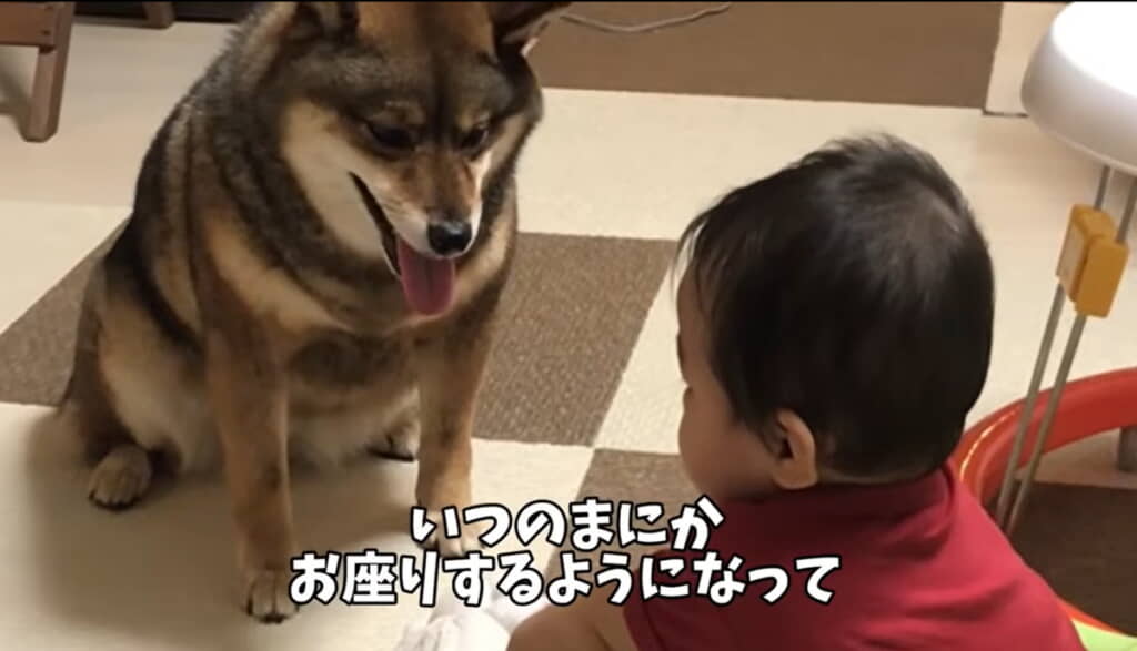 お座りできるように
