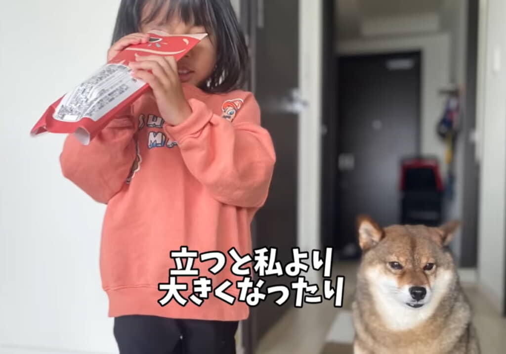 並んで立つと、こんなに大きくなった！