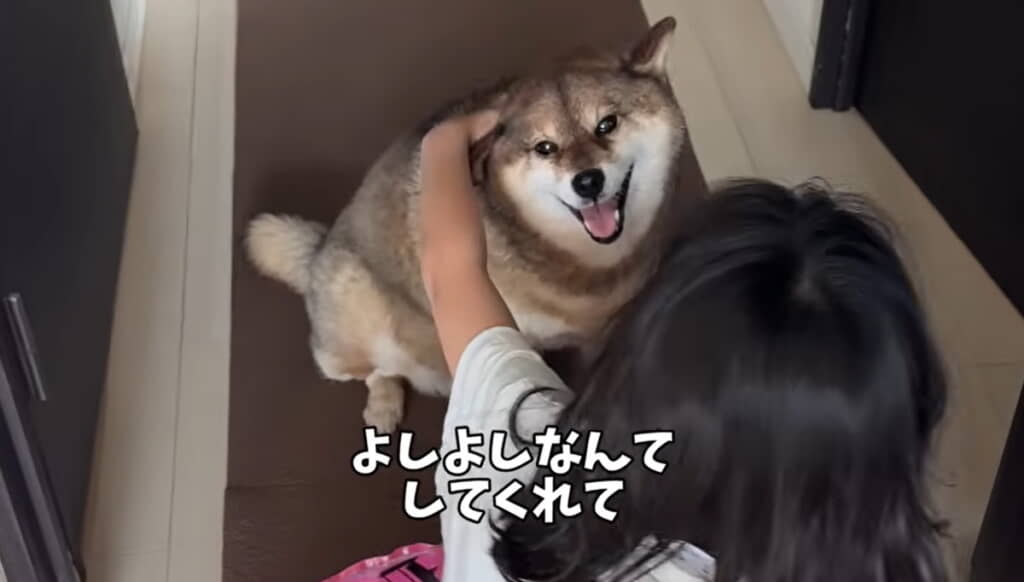 花ちゃんとってもうれしそうです