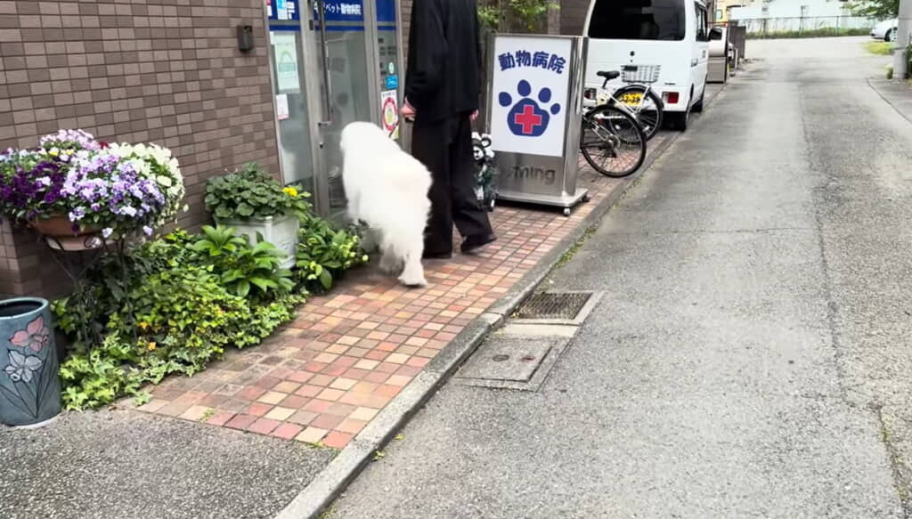 動物病院の前に来ると……
