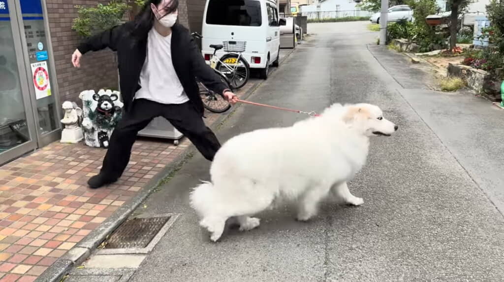 すかさずUターン