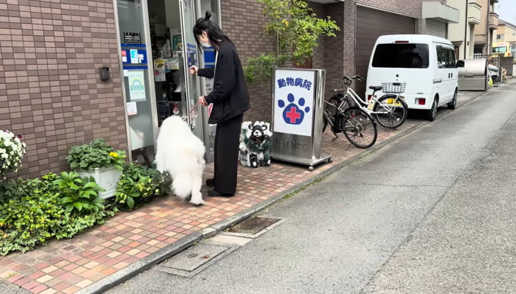 入るのかと思いきや