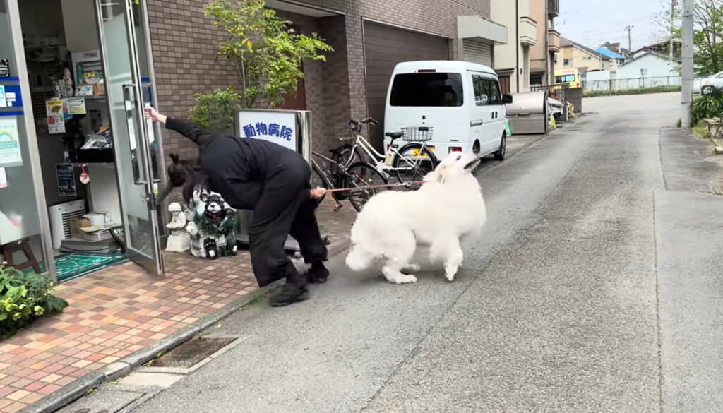思わぬフェイントですごい体勢になる飼い主さん